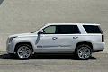 2020 Cadillac Escalade Premium Luxury